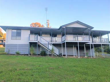 House Leased - QLD - Cooran - 4569 - Central location, plenty of space, mountain views  (Image 2)