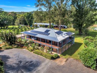 Acreage/Semi-rural For Sale - NSW - Bellingen - 2454 - Merrick Farm - A stunning lifestyle property  (Image 2)