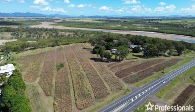 Cropping For Sale - QLD - Alligator Creek - 4740 - Great Family Lifestyle Rural Block 15 Minutes to the City  (Image 2)