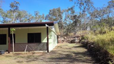 Lifestyle Sold - QLD - Silver Valley - 4872 - Bush setting at Silver Valley  (Image 2)