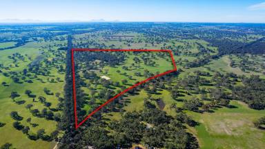 Lifestyle For Sale - VIC - Wannon - 3301 - LIFESTYLE ON ACREAGE – GRAZING AND WILDLIFE  (Image 2)