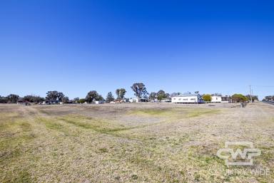 Residential Block For Sale - NSW - Ashford - 2361 - Prime Land Opportunity  (Image 2)