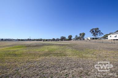 Residential Block For Sale - NSW - Ashford - 2361 - Prime Land Opportunity  (Image 2)