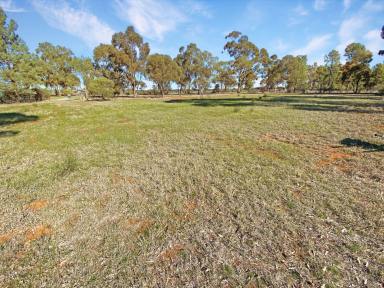 Residential Block For Sale - NSW - Matong - 2652 - LIFE WITH NATURE  (Image 2)