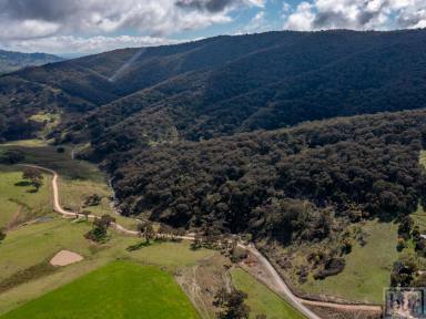 Lifestyle Sold - VIC - Bethanga - 3691 - A piece of North East lifestyle with magnificent valley views and some outstanding sites.  (Image 2)