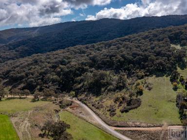 Lifestyle Sold - VIC - Bethanga - 3691 - A piece of North East lifestyle with magnificent valley views and some outstanding sites.  (Image 2)