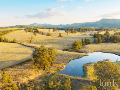 Lifestyle Sold - NSW - Pokolbin - 2320 - THE BEATING HEART OF HUNTER VALLEY WINE COUNTRY  (Image 2)
