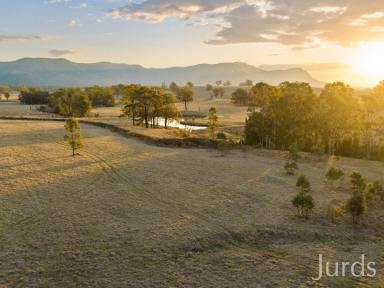 Lifestyle Sold - NSW - Pokolbin - 2320 - THE BEATING HEART OF HUNTER VALLEY WINE COUNTRY  (Image 2)