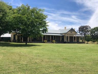 Mixed Farming For Sale - NSW - Murringo - 2586 - Willawong  (Image 2)