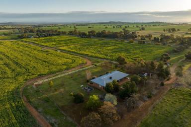 Other (Rural) Sold - NSW - Wagga Wagga - 2650 - Country Life or Land Bank mins to Wagga  (Image 2)