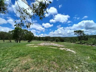 Acreage/Semi-rural Sold - QLD - Crows Nest - 4355 - Discover Your Dream Lifestyle in Crows Nest - 5 Acres, Brick home, 4 Beds, 2 Baths + large shed.  (Image 2)
