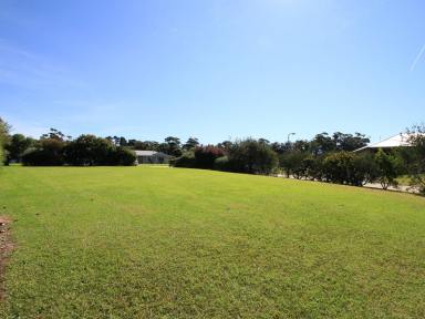 Residential Block For Sale - VIC - Marlo - 3888 - MARLO, WHERE THE SNOWY RIVER MEETS THE SEA.  (Image 2)