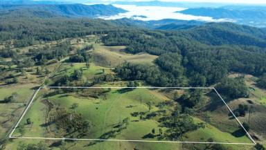 Lifestyle For Sale - QLD - Bellthorpe - 4514 - HINTERLAND RETREAT  (Image 2)