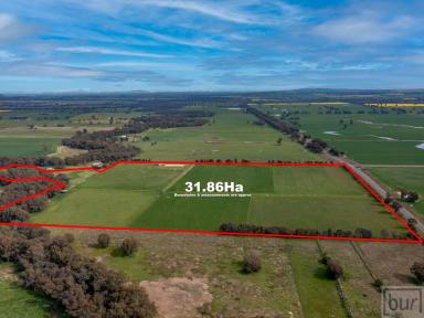 Mixed Farming For Sale - NSW - Culcairn - 2660 - Perfect Add-on, Starter, Recreation  (Image 2)