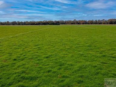 Mixed Farming For Sale - NSW - Culcairn - 2660 - Perfect Add-on, Starter, Recreation  (Image 2)