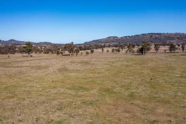 Farmlet Sold - NSW - Rylstone - 2849 - Your Weekend Escape  (Image 2)
