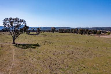 Farmlet For Sale - NSW - Rylstone - 2849 - Perfect Lifestyle Living  (Image 2)