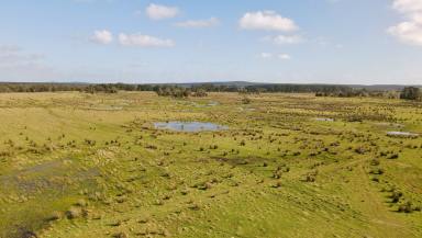 Mixed Farming Sold - SA - Mount McIntyre - 5279 - Rare Opportunity in such a reliable area.  (Image 2)