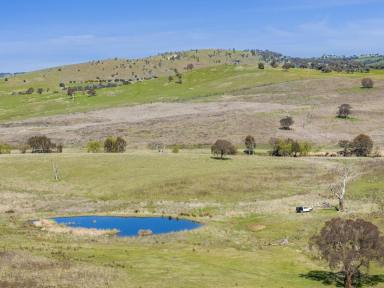 Lifestyle For Sale - NSW - Boorowa - 2586 - Productive Riverfront Grazing at 'Riverview'  (Image 2)
