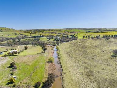 Lifestyle For Sale - NSW - Boorowa - 2586 - Picturesque Lifestyle & Productive Riverfront Grazing at 'Riverview'  (Image 2)