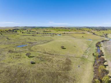 Lifestyle For Sale - NSW - Boorowa - 2586 - Productive Riverfront Grazing at 'Riverview'  (Image 2)