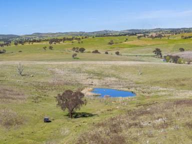 Lifestyle For Sale - NSW - Boorowa - 2586 - Productive Riverfront Grazing at 'Riverview'  (Image 2)