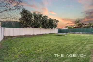House Sold - WA - Seville Grove - 6112 - AWESOME OPPORTUNITY ON A 680SQM BLOCK!  (Image 2)