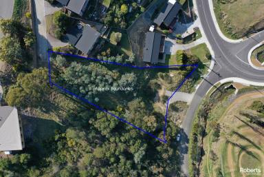 Residential Block For Sale - TAS - Geilston Bay - 7015 - Endless possibilities  (Image 2)
