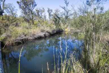 Other (Rural) Sold - NSW - Fortis Creek - 2460 - Big Bushy Acres with Water Features  (Image 2)