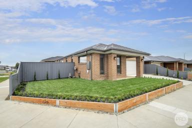 House Sold - VIC - Alfredton - 3350 - Immaculate Home Across From Park  (Image 2)