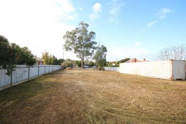 Residential Block For Sale - VIC - Elmore - 3558 - BUILD IT HERE  (Image 2)