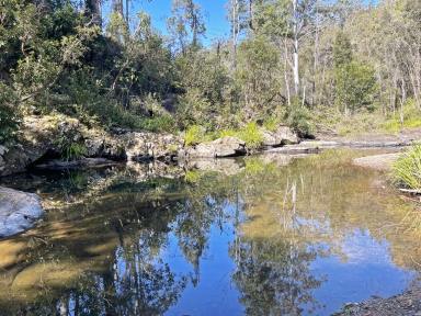 Acreage/Semi-rural Sold - NSW - Caparra - 2429 - Experience Paradise on Caparra Creek  (Image 2)