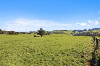 Livestock For Sale - VIC - Mirboo - 3871 - 62 ACRES OF PRODUCTIVE GRAZING LAND  (Image 2)