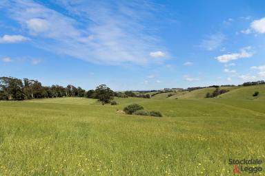 Livestock For Sale - VIC - Mirboo - 3871 - 62 ACRES OF PRODUCTIVE GRAZING LAND  (Image 2)