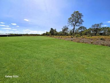 Residential Block For Sale - QLD - Mareeba - 4880 - BLANK CANVAS AWAITING YOUR DREAM HOME  (Image 2)