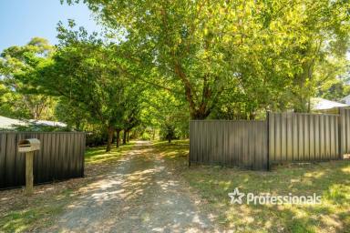 House For Sale - VIC - Millgrove - 3799 - SECLUDED FARMLET ON 3.5 ACRES  (Image 2)