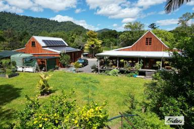House Sold - QLD - Bombeeta - 4871 - Private, Self Sustainable , Organic Living  (Image 2)
