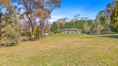 Lifestyle For Sale - NSW - Oberon - 2787 - Country Retreat – *12.17HA/*30 ACRES  (Image 2)