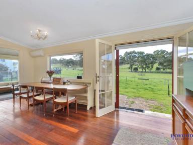 Lifestyle Sold - SA - Eden Valley - 5235 - Jutland Valley Farm. 46.6 Ha. 1920's home. Extensive shedding Productive grazing. 14Mg water licence. Country, space and tranquility.  (Image 2)