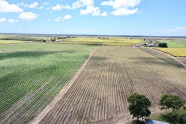 Other (Rural) For Sale - QLD - Jarvisfield - 4807 - 114 Acre Cane Farm with Open Water and Bore Water  (Image 2)