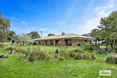 House Sold - VIC - Pomonal - 3381 - Look no further for the perfect lifestyle home for outdoor adventurers and horse lovers alike,  in the most stunning location.  (Image 2)
