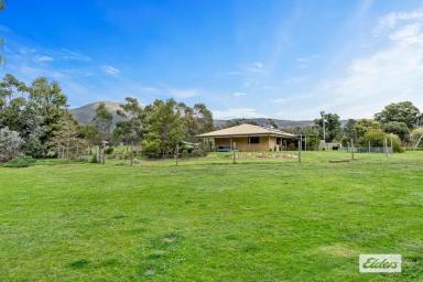 House Sold - VIC - Pomonal - 3381 - Look no further for the perfect lifestyle home for outdoor adventurers and horse lovers alike,  in the most stunning location.  (Image 2)