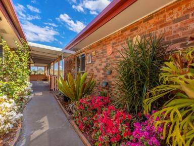 House Sold - NSW - Old Bar - 2430 - GARDENERS PARADISE CLOSE TO THE BEACH  (Image 2)