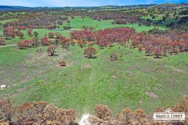 Lifestyle For Sale - NSW - Tenterfield - 2372 - 108 Acres with Sunnyside Creek.....  (Image 2)