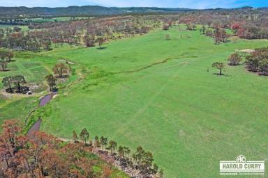Lifestyle For Sale - NSW - Tenterfield - 2372 - 108 Acres with Sunnyside Creek.....  (Image 2)