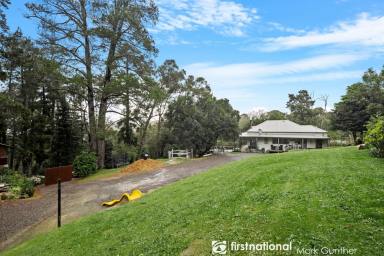 House Sold - VIC - Healesville - 3777 - Character Home in a Rural Setting!  (Image 2)