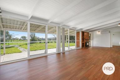 House Leased - NSW - Gerogery - 2642 - BEAUTIFUL HOME WITH AMAZING VIEWS  (Image 2)