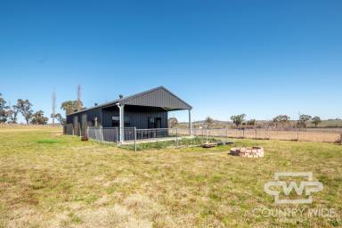 Residential Block Sold - NSW - Glen Innes - 2370 - Rural Retreat  (Image 2)
