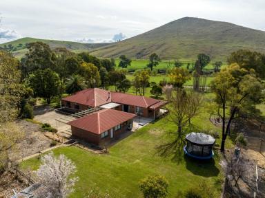 Lifestyle Sold - NSW - Gobarralong - 2727 - Danderhall - A dream country lifestyle set on the banks of the Murrumbidgee River  (Image 2)