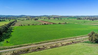 Livestock Sold - NSW - Cowra - 2794 - Raintree Farm - Held by the same family for 190 years  (Image 2)